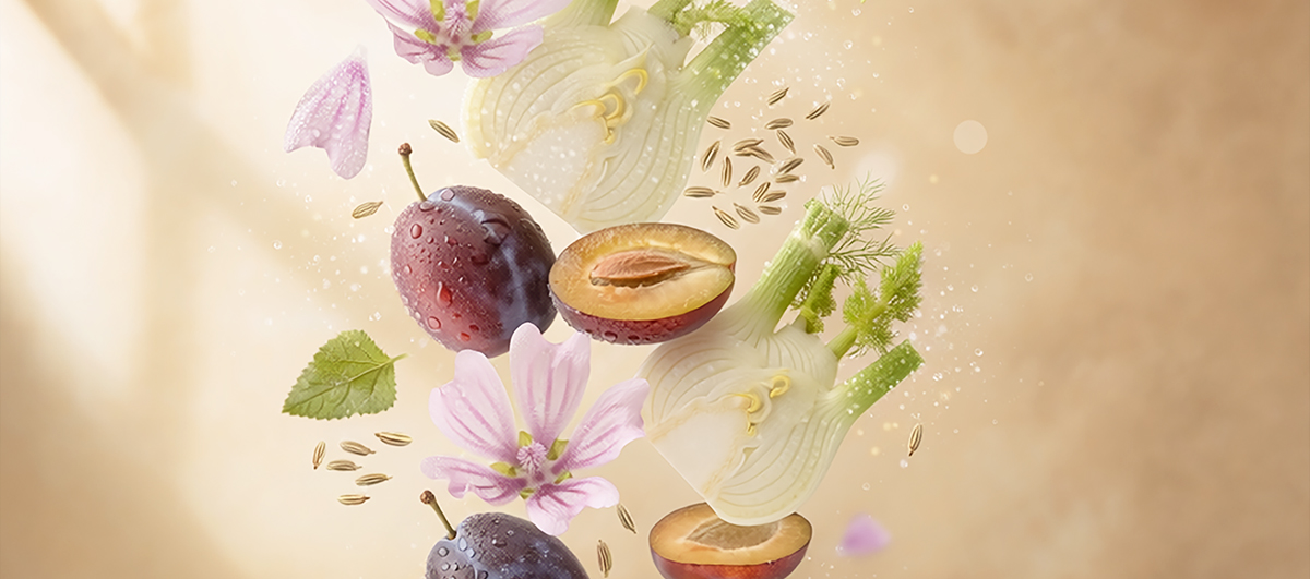 Fibre-e-regolarita